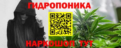 гидра Гагарин