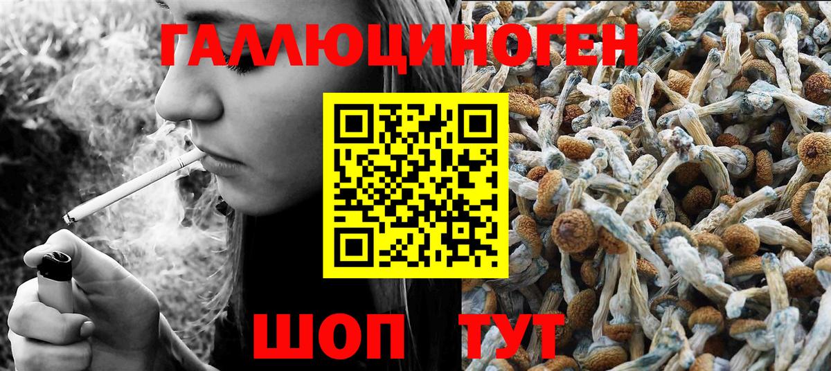 Галлюциногенные грибы ЛСД  купить закладку  Михайловск  Вход с VPN  Псилоцибиновые грибы ЛСД 