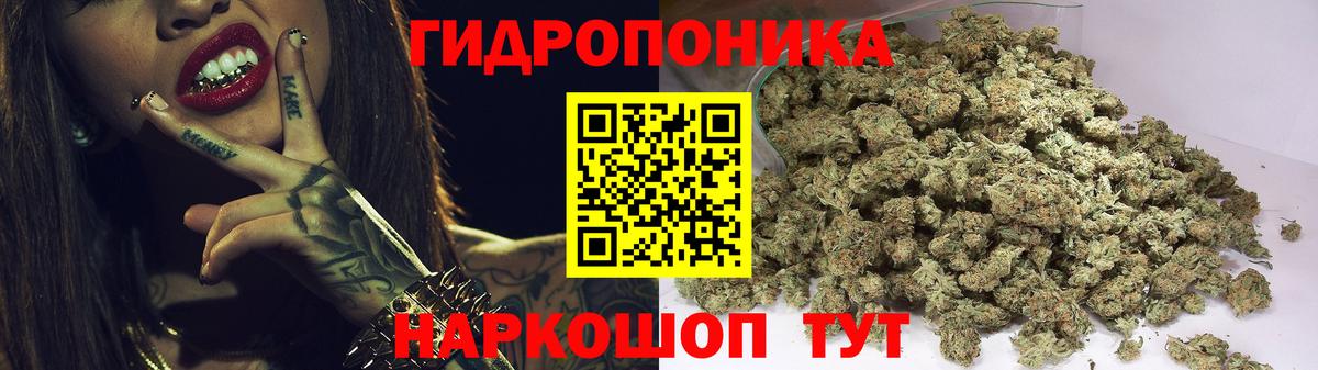 Марихуана планчик  Бошки Шишки сатива  Шишки марихуана марихуана  Михайловск  Вход с VPN 
